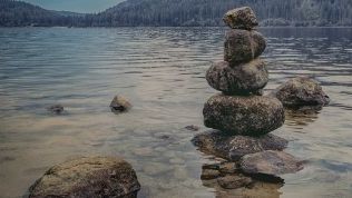 What I have Learned from search inside yourself program