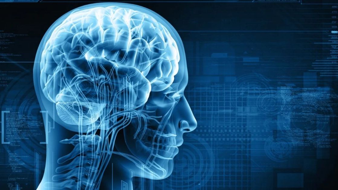 Trí tuệ cảm xúc (Emotional Intelligence) là gì? Cách nâng cao EI